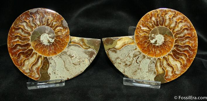 Inch Split Ammonite Pair From Madagascar #881